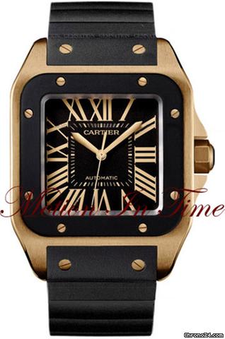 Cartier W20124U2