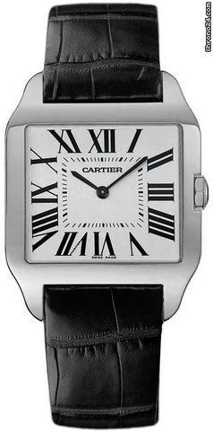 Cartier W2007051