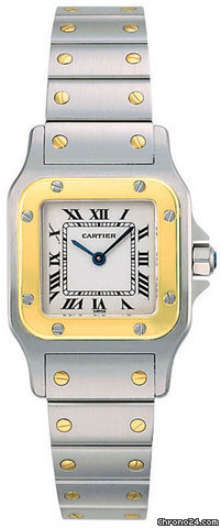 Cartier W20012C4
