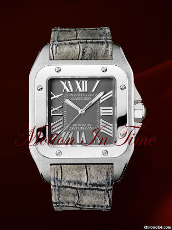 Cartier W20134X8