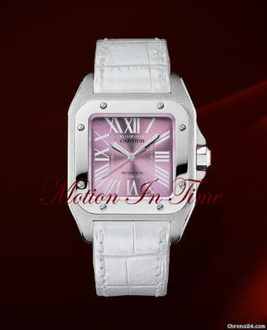 Cartier W20133X8