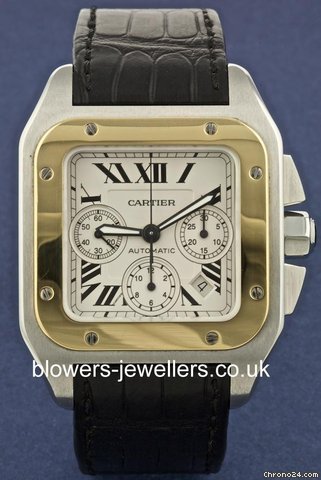 Cartier W20091X7