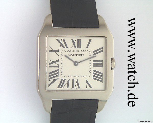 Cartier W2007051