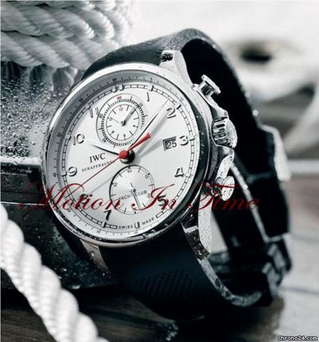 IWC IW390206