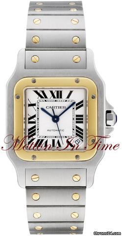 Cartier W20099C4