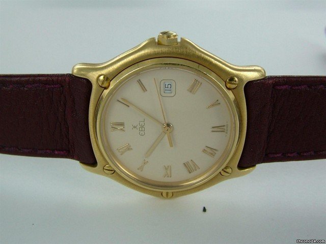 Ebel Ebel 29545