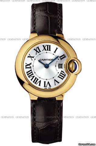 Cartier W6900156