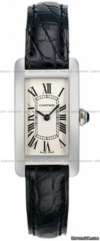 Cartier W2601956