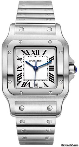 Cartier W20060D6