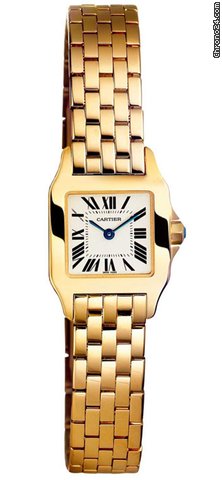 Cartier W25063X9
