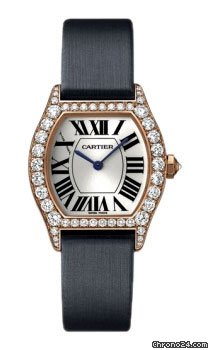 Cartier WA507031