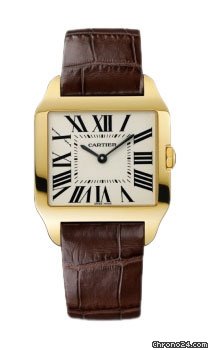 Cartier W2009351