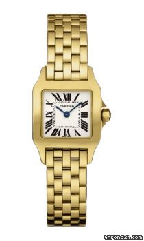 Cartier W25063X9