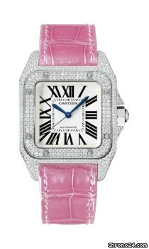 Cartier WM501751