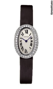 Cartier WB509531