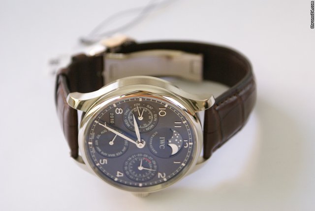 IWC 502307