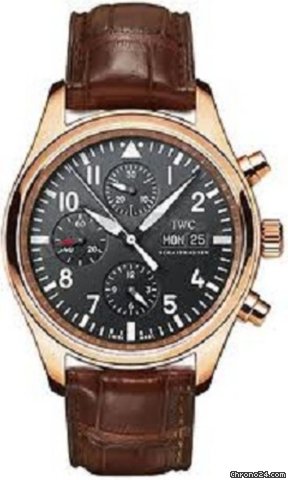 IWC iw371713