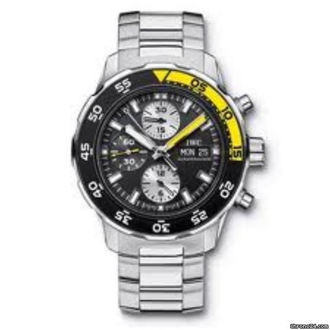 IWC iw376701/08