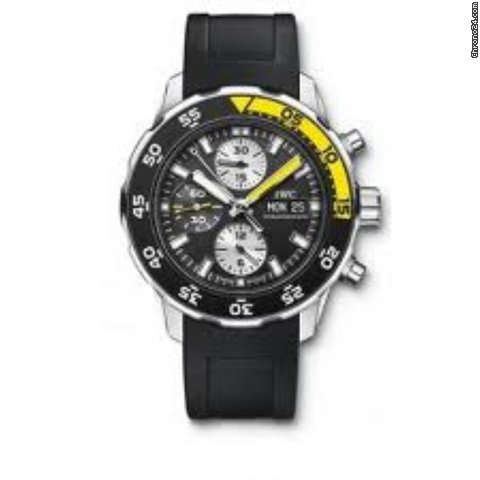 IWC IW376702/09