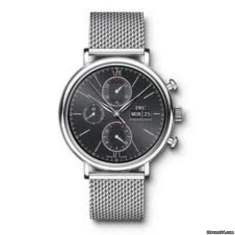 IWC IW391006
