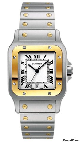 Cartier W20011C4