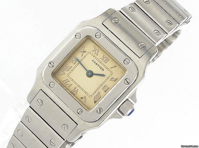 Cartier W20024D6