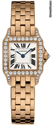 Cartier wf9008z8