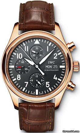 IWC IW3717-13