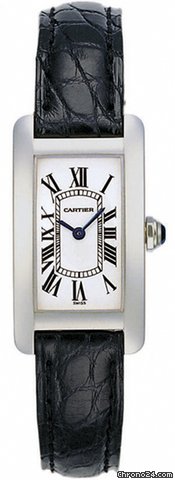 Cartier w2601956