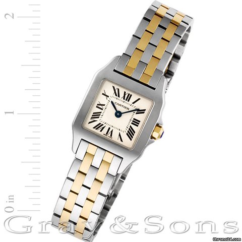 Cartier W25066Z6