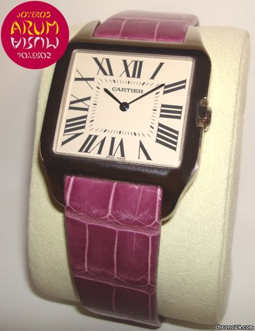 Cartier W2007051