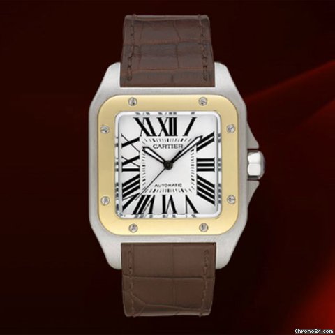 Cartier W20072X7