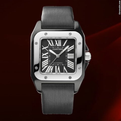 Cartier W2020008