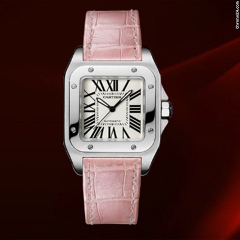 Cartier W20126X8