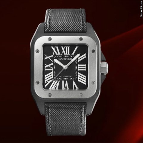 Cartier W2020010