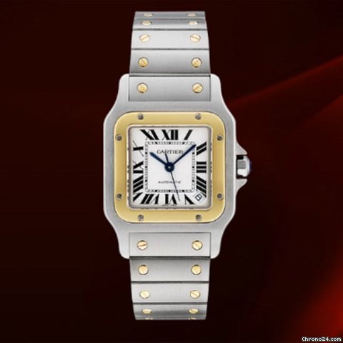 Cartier W20099C4