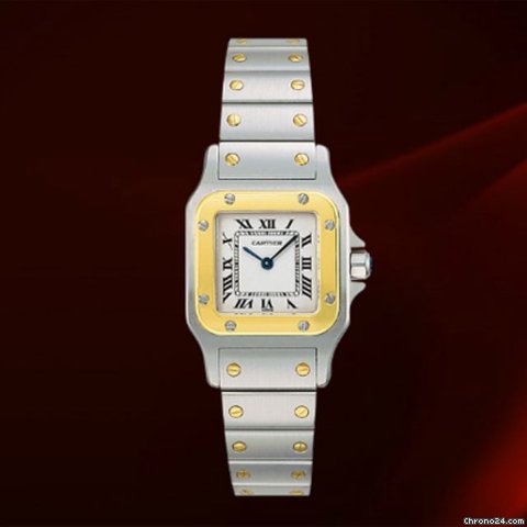 Cartier W20012C4