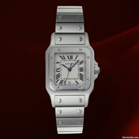 Cartier W20060D6
