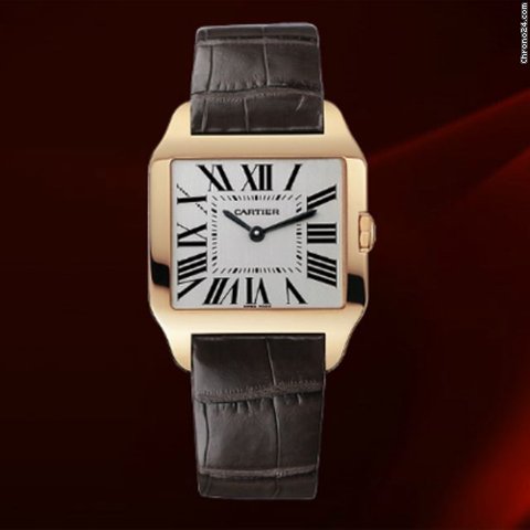 Cartier W2009251