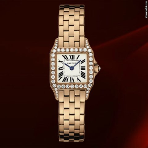 Cartier WF9008Z8