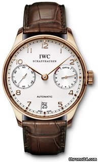IWC IW500113