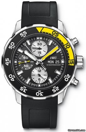 IWC IW376702