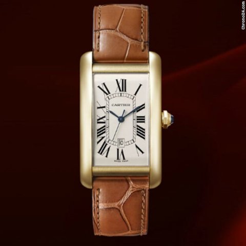 Cartier W2603156