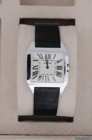 Cartier Cartier 51073