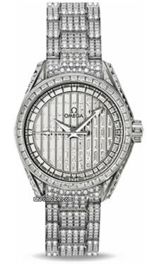 Omega 231.55.30.20.99.003