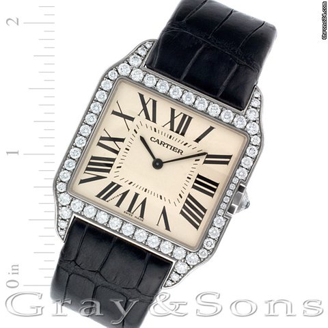 Cartier WH100651