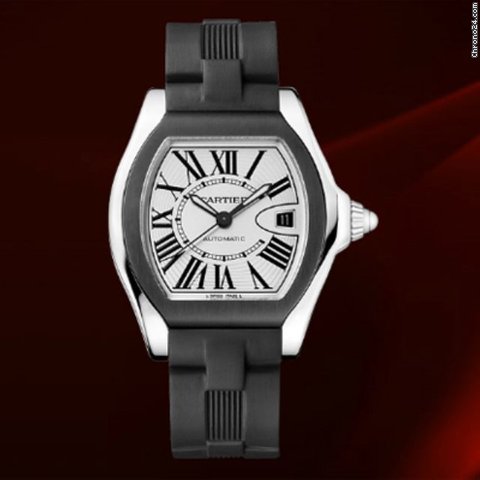 Cartier W6206018