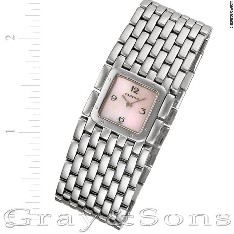Cartier W61001T9