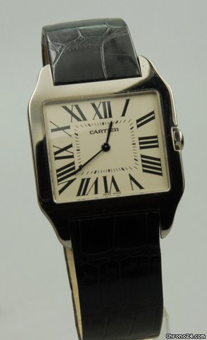Cartier W2007051