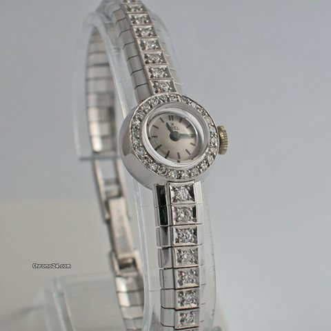 Ebel Ebel 19816